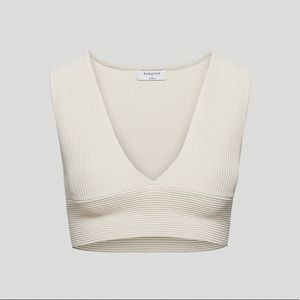 Aritzia Babaton Top